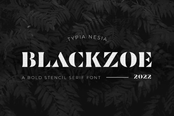 Blackzoe: A Designer's Real-World Review for Bold Branding