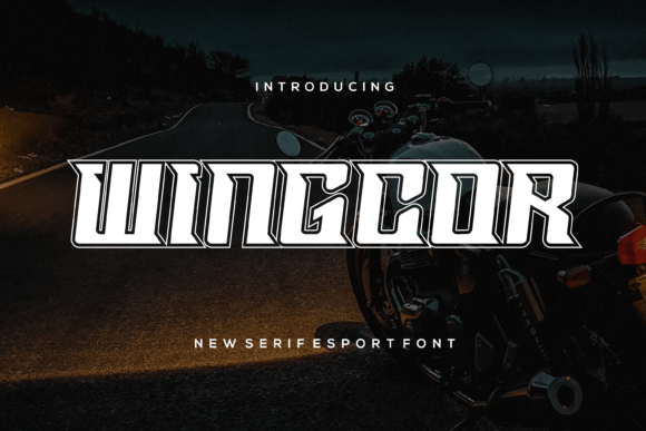 Wingcor: The Bold Slab Serif Typeface for Unique Brand Identity